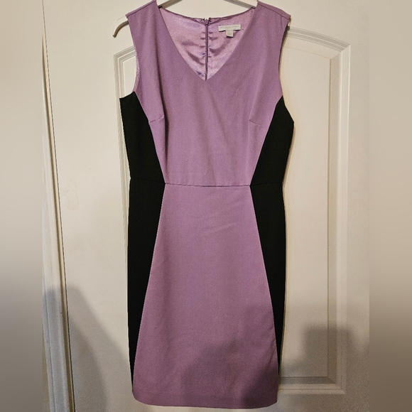 New York & Company Dresses & Skirts - New York and Company Lavender and Black Dress Size 6